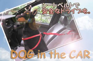 画像2: 【訳あり】ドギーマンの愛犬シートベルトL【メール便198円対応】 (2)