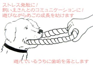 画像3: 東京ペット デンタルコットン RINGS(リングS)【定形外郵便450円対応】 (3)