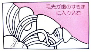 画像4: 東京ペット デンタルコットン RINGS(リングS)【定形外郵便450円対応】 (4)