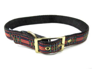 画像1: 米国アップカントリー社製ファッション首輪 25mm　ｆ009 チェックレッド　【メール便180円対応】 (1)