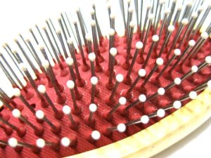 画像2: ナチュラルな木製！シングルクッションブラシ　中【定形外郵便・簡易包装290円対応】 (2)