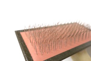 画像3: 【大変訳あり】英国製ハインズ スリッカーブラシM 6002【定形外郵便390円対応】 (3)