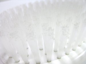 画像2: ドギーマン 猫専用ブラシ83 安心の日本製 【定形外郵便390円対応】 (2)