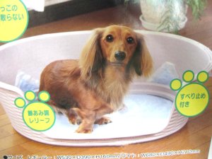 画像1: 【展示品・送料実費】リッチェル　藤あみ調犬トイレ レギュラー　ピンク (1)