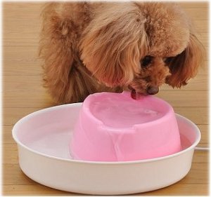 画像2: ボンビ　ペット用給水器　ネイチャーズファウンテンエコ　ピンク (2)