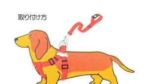 画像4: ドギーマン　ニューパピーハーネスセットL　ホットピンク　超小型犬・小型犬用【定形外郵便140円対応】 (4)