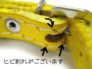 画像2: 【最後の1個です】ドギーマン　フェルト張り首輪（鈴付き）超小型犬・小型犬用首輪　首回り21.5-26.0cm　グリーン【パッケージなし・メール便120円対応】 (2)