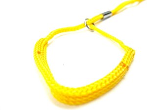 画像4: ハンドラー Wリード小型犬用首輪付引紐6mm x 140cm レッド×ブラック【メール便改定180円対応】 (4)