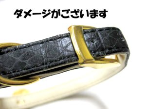 画像2: 【訳あり】コイン首輪(M)20-25cmの猫・小型犬用【定形外郵便120円対応】 (2)