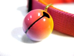 画像2: 【訳あり】ぺティオ　サンカラー　猫・小型犬用首輪　ピンク　首回り21〜30cm【パッケージなし・メール便120円対応】 (2)