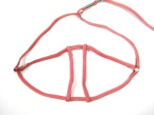 画像5: 【パッケージなし】ペティオ　シーマ胴輪付きリード（小型犬用ハーネス付引き紐）5mm　レッド【メール便140円】 (5)