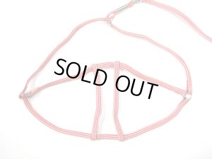 画像5: 【パッケージなし】ペティオ　シーマ胴輪付きリード（小型犬用ハーネス付引き紐）5mm　レッド【メール便140円】 (5)