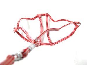 画像4: 【パッケージなし】ペティオ　シーマ胴輪付きリード（小型犬用ハーネス付引き紐）5mm　レッド【メール便140円】 (4)