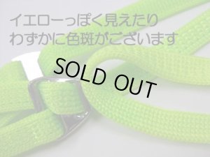 画像2: 【在庫限り】ペティオ カラーハーネスリード(小型犬用胴輪付引き紐)8mm ワニ口付き ホットグリーン【定形外郵便140円】 (2)