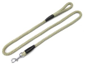 画像1: 【訳あり】ぺティオ　パイレンリード　中型犬用引紐　15mm×160cm　ベージュ【メール便185円対応】 (1)