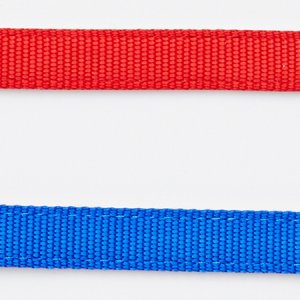 画像5: 【店頭展示品】ぺティオ　プラットリードS　小型犬用リード・引き紐　ブルー　幅15mm×120cm【定形外郵便140円対応】 (5)