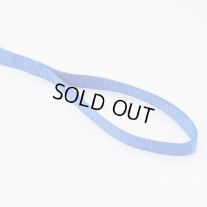 画像3: 【店頭展示品】ぺティオ　プラットリードL　大型犬用リード・引き紐　ブルー　幅25mm×120cm【定形外郵便210円対応】 (3)