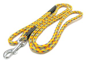 画像1: ぺティオ　ネオンリード　中型犬用引紐　15mm　イエロー【レターパックライト便430円対応】 (1)