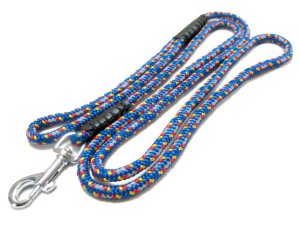 画像1: ぺティオ　ネオンリード　小型犬用引紐　10mm　ブルー【メール便185円対応】 (1)