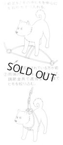 画像3: ペティオ ハニーハーネスリード(小型犬用胴輪付引き紐)5mm ライトブルー【パッケージなし・メール便改定後140円対応】 (3)