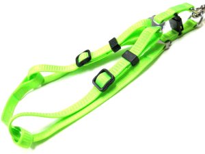 画像3: ペティオ　ワンタッチハーネスリード8（小型犬用胴輪付引き紐）8mm　グリーン【メール便185円対応】 (3)