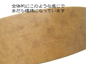 画像3: 【訳あり】ペティオカナディアンオイル平首輪#36号ブラウン 【定形外郵便(メール便)350円対応】 (3)