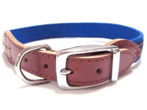 画像2: ターキーネイティブカラーLサイズ ブルー 首廻り45-51cm 【定形外郵便(メール便)140円対応】 (2)