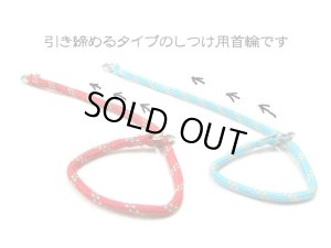 画像3: 【訳あり】ターキー マウンテンチョークカラー(しつけ訓練首輪)小型犬用ブルー 10mm 有効範囲50cmまで【メール便140円】 (3)