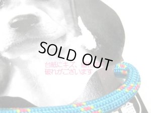 画像2: 【訳あり】ターキー マウンテンチョークカラー(しつけ訓練首輪)小型犬用ブルー 10mm 有効範囲50cmまで【メール便140円】 (2)