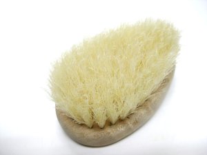 画像12: 訳あり・アドバンクス　うさぎ専用ブラシ（水気取り用）【定形外郵便290円対応】ハムスター・モルモット・フェレットにも (12)