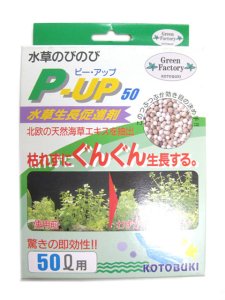 画像1: 【訳あり】コトブキ工芸　水草生長促進剤　P-UP （ピー・アップ）50】【アクアリウム　水槽用品　熱帯魚】 (1)