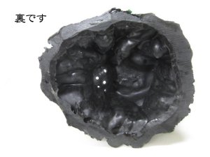 画像6: コトブキ工芸　大地に根を張る森の木かぶ【アクアリウム　水槽用品　熱帯魚】 (6)