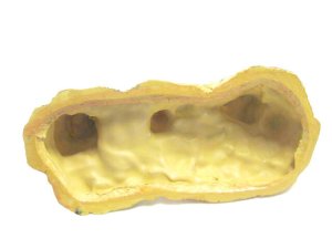 画像3: 【訳あり】コトブキ工芸 秘境にそびえたつ不思議な岩石 アーチロックW【アクアリウム 水槽用品 熱帯魚】 (3)