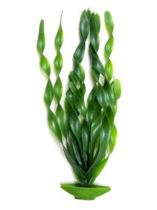 画像2: コンビアクアグッズプランツ　ジャングルバリスネリア（大）【アクアリウム　水槽用品　熱帯魚】【定形外郵便390円対応】 (2)