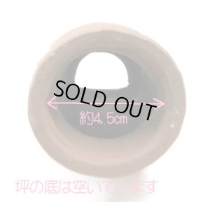 画像5: 【おかげさまで完売しました】アクアアクセサリー タコツボ【アクアリウム 水槽用品 熱帯魚】【定形外郵便不可】 (5)