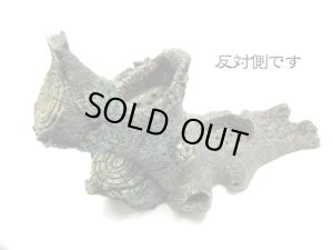 画像2: コトブキ工芸　ジャングルに横たわるコケむした老木 (2)