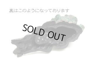 画像5: コトブキ工芸　ジャングルに横たわるコケむした老木 (5)