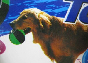 画像2: 【訳あり】ドギーマン　犬のおもちゃスポーツトーイ　ボールL　グリーン【定形外郵便390円対応】 (2)