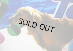 画像4: 【おかげさまで完売しました】ドギーマン 犬のおもちゃスポーツトーイ ボールL ピンク【定形外郵便390円対応】 (4)