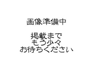 画像1: ポンポリース　サスペンダー付きペット用生理用パンツ4号サイズ　ピンク【パッケージなし】 (1)