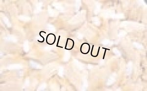 画像2: 【送料実費】【期限近め】いなば　チャオ　まぐろ白身＆こしひかり入り　85ｇ【国産品】【期限2024.7.4】 (2)