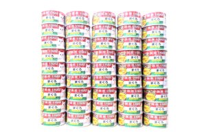 画像1: いなば　国産ホワイトフジ　まぐろ170g×3缶パック×15本(45缶) (1)
